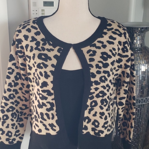 NWT Leopard Cropped Sweater - Picture 2 of 4